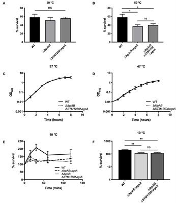 The Salmonella Specific, σE-Regulated, STM1250 and AgsA, Function With the sHsps IbpA and IbpB, to Counter Oxidative Stress and Survive Macrophage Killing